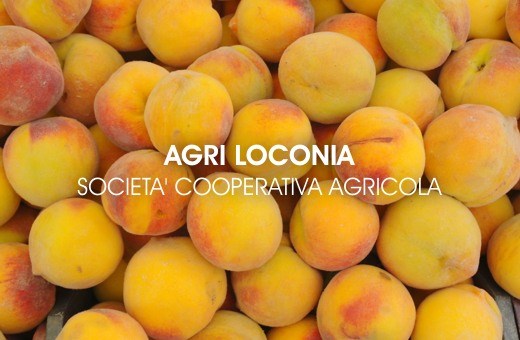 Agri Loconia